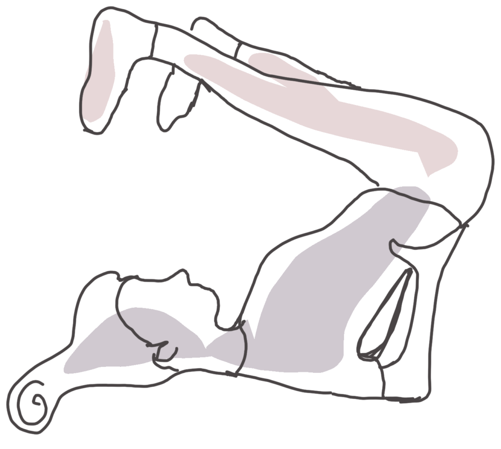 Viparita Karani. Yogaposition